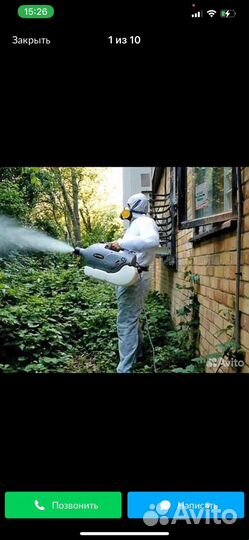 Дезинфекция