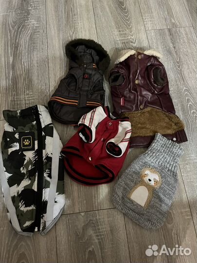 Курточки на маленькую собачку