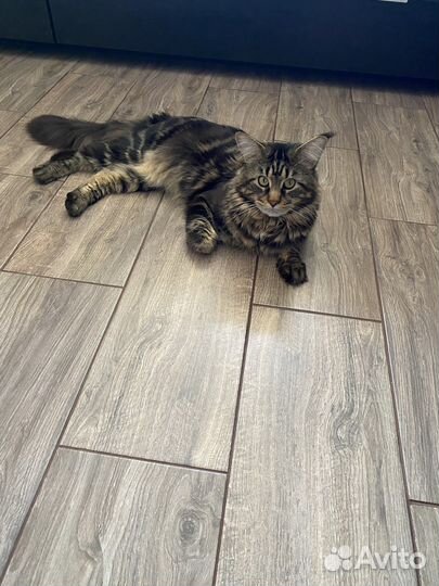 Мейкун вязка