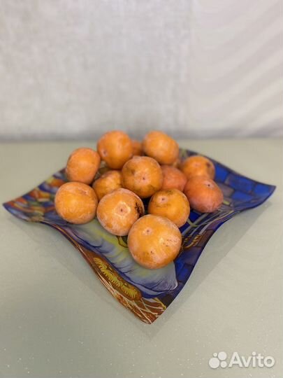 Тарелка сервировочная с драконом