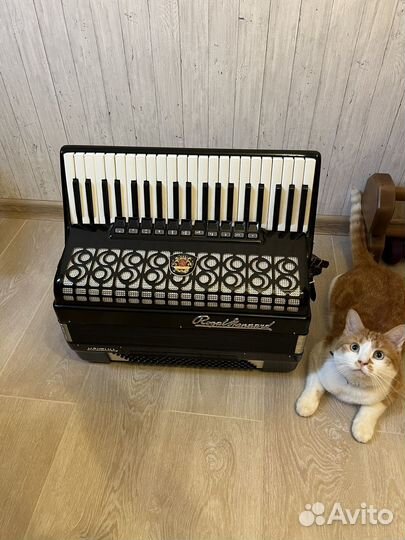 Аккордеон Royal Standart Montana