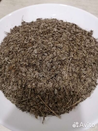 Семена укропа
