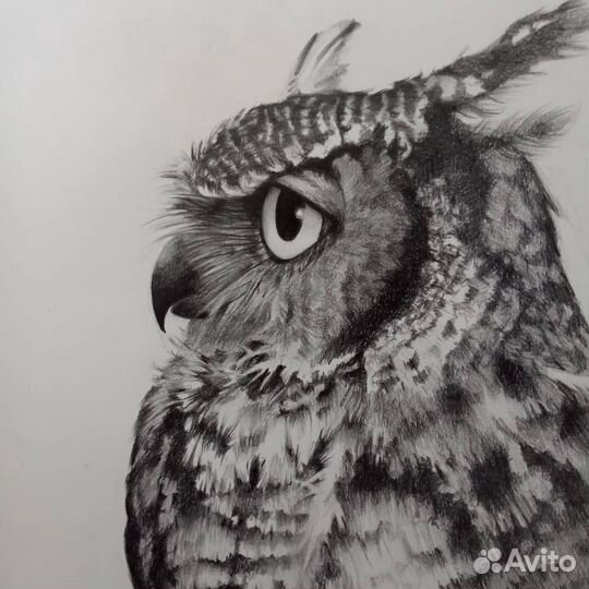 Картина «Филин»