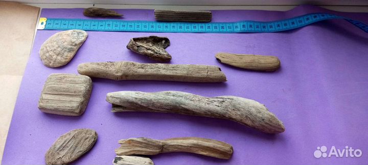 Дрифт вуд. Деревяшки с побережье черного моря