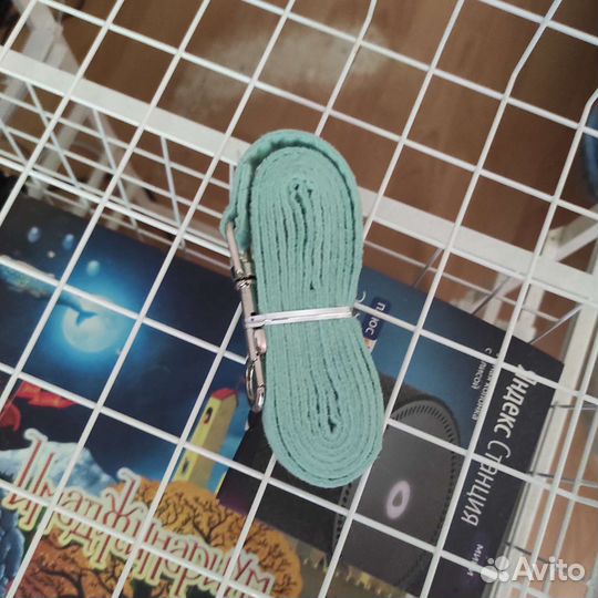 Поводок для маленьких собак