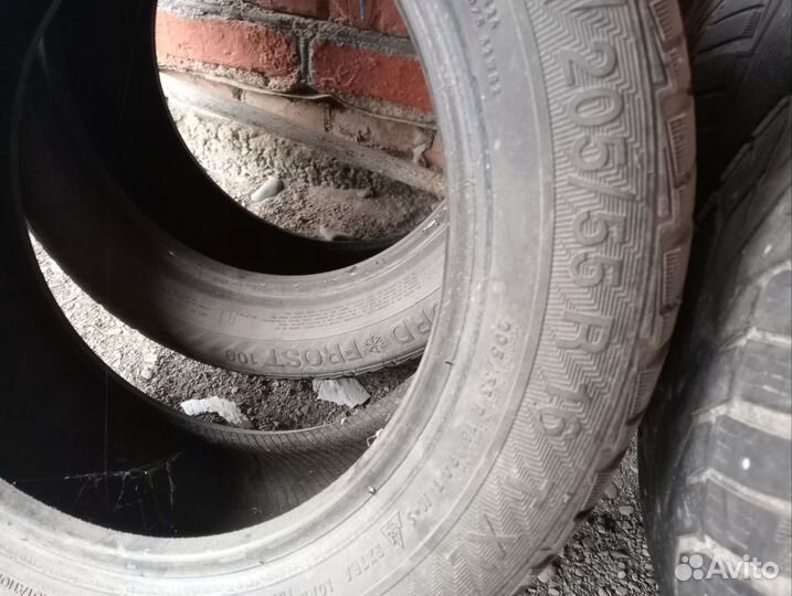 Gislaved NordFrost 100 205/55 R16