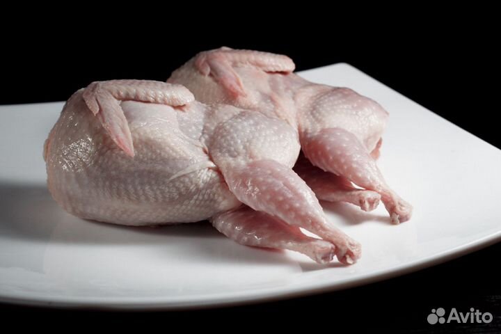 Перепела, яйцо и мясо