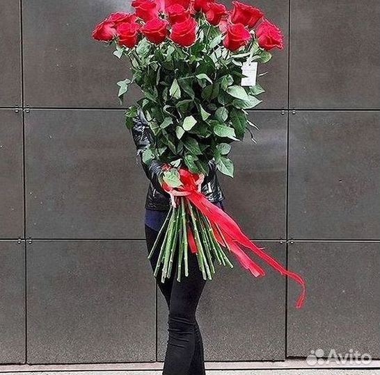Розы гиганты 140 150 160 170 180 200