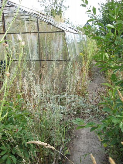 Дача 45 м² на участке 5,5 сот.