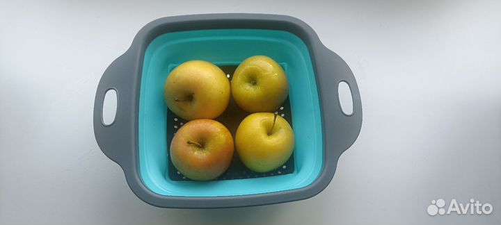 Контейнер складной с перфорацией пластик