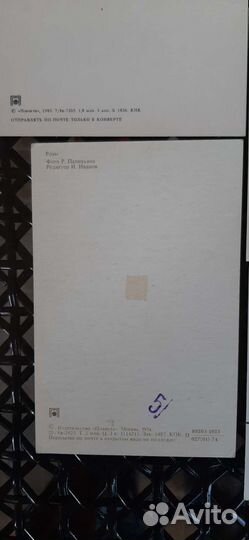 Открытки СССР Цветы (Розы) 1974 - 1982 годы