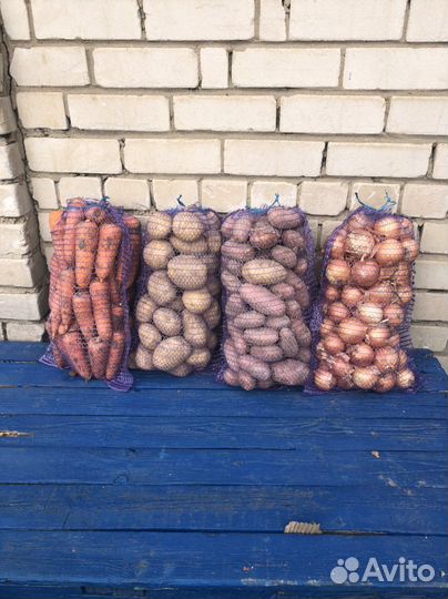 Картофель Лук Морковь Капуста