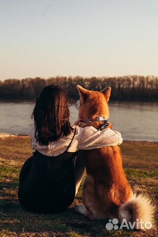 Зооняня, передержка животных