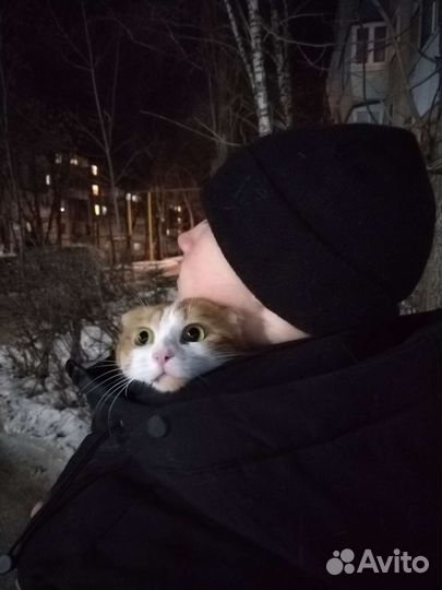 Вязка / случка