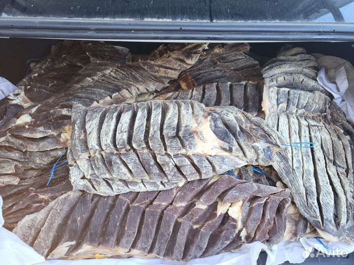 Мясо колбаса