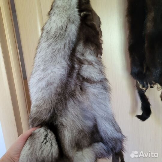 Шкурки норка