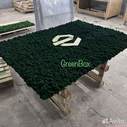 Панно из мха 200*140см