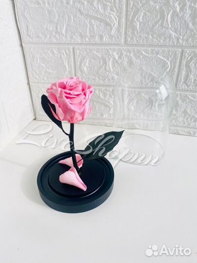 Роза в колбе