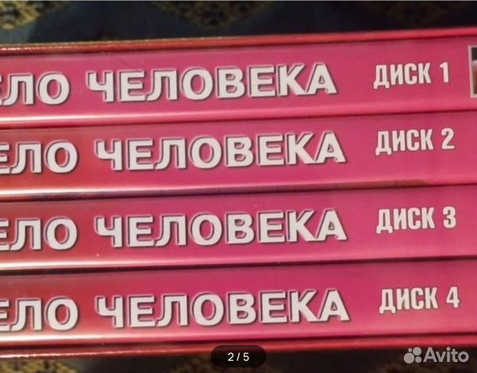 Тело человека bbc