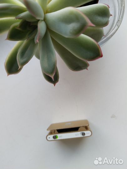 MP3 плеер iPod