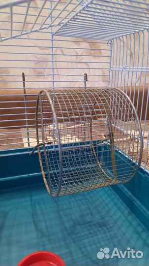 Клетка для сирийского хомяка