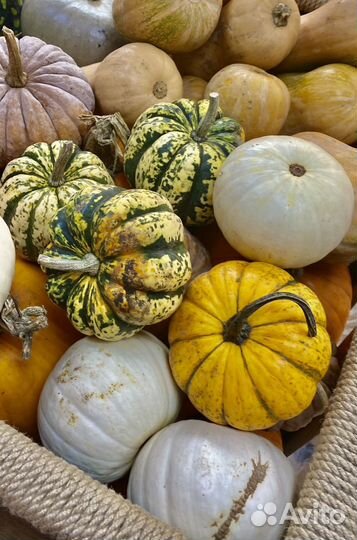 Подавец-кассир в магазин 