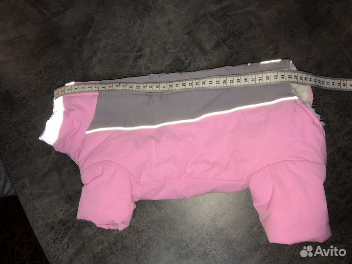 Костюмы для собаки