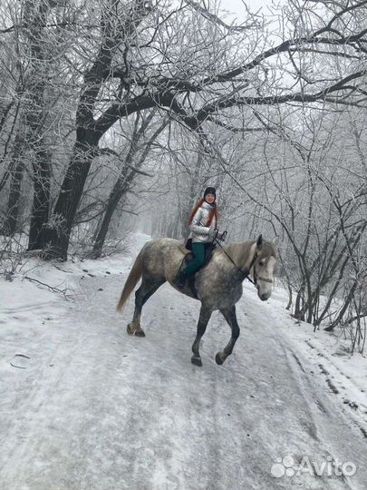 Конные прогулки