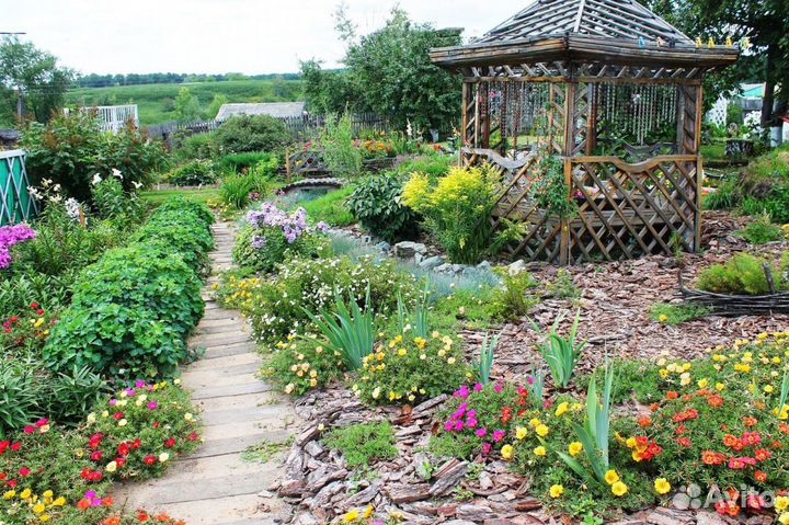 Многолетники для дизайна Вашего сада