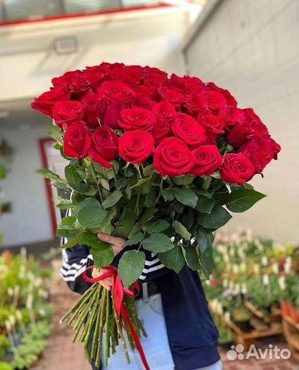 Высокие розы Гигантские розы Доставка цветов
