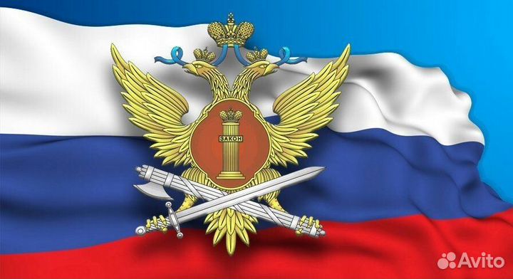 Младший инспектор отдела охраны