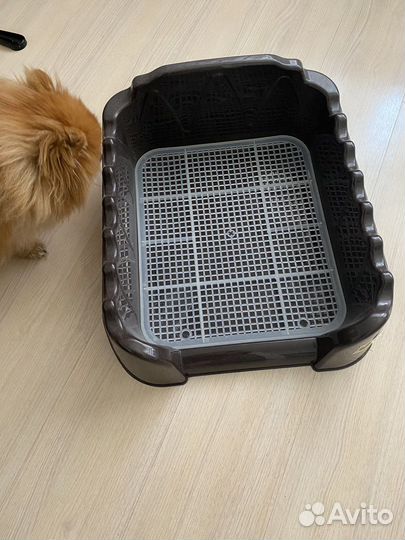 Лоток для собак с бортиком без столбика