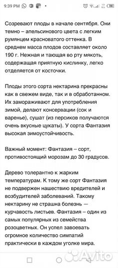 Нектарин Фантазия. Саженцы