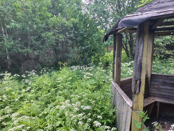 Участок 6 сот. (СНТ, ДНП)