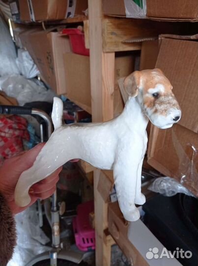 Фарфоровая статуэтка эрдельтерьер