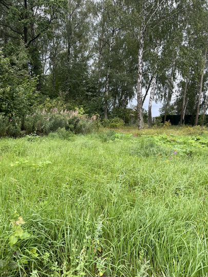 Участок 26 сот. (ИЖС)