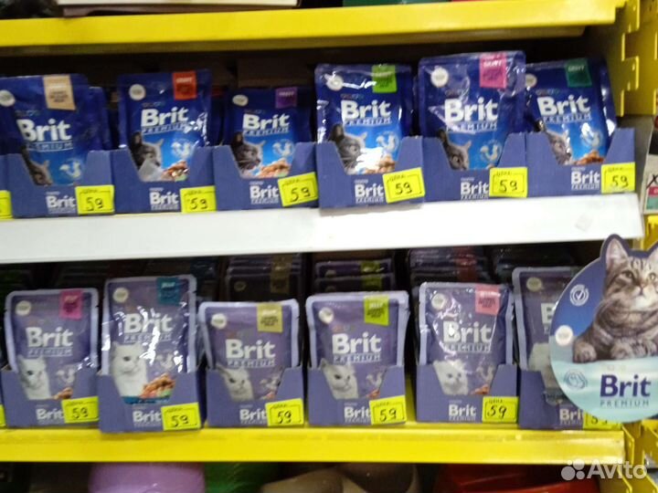 Корм для кошек влажный брит