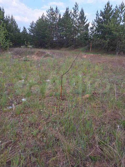 Участок 13,6 сот. (ИЖС)