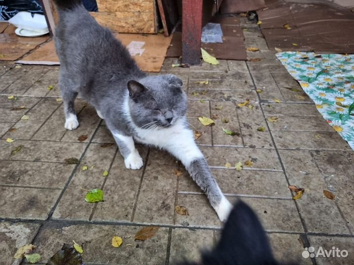 От сердца к сердцу