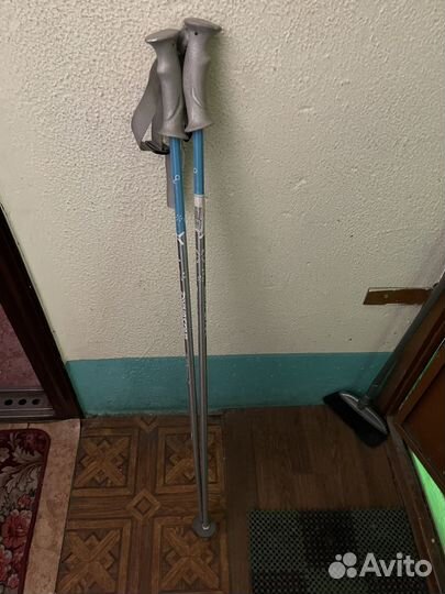 Лыжные палки