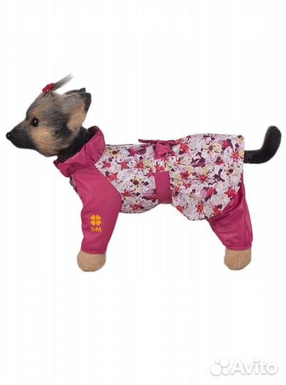 Костюм для собаки