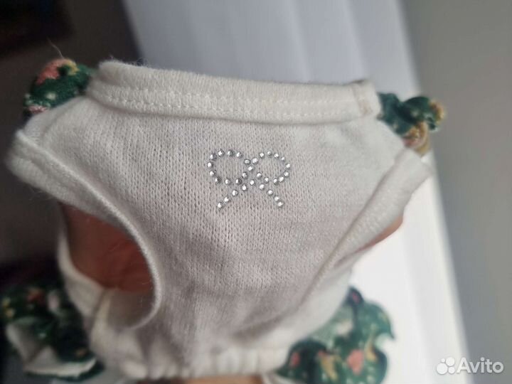 Вещи для маленькой собачки