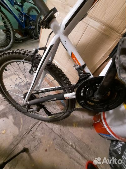 Велосипед Forward модель Hardi 1.0