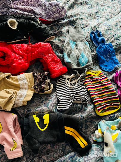 Одежла пакетом для маленьких собак