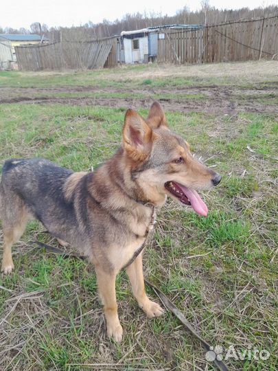 В самые добрые руки