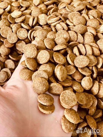 Котогава корм для собак