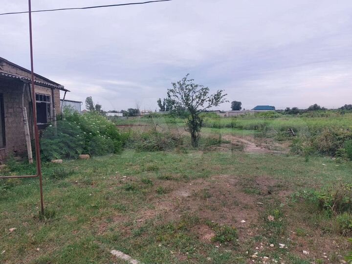 Участок 25 сот. (СНТ, ДНП)