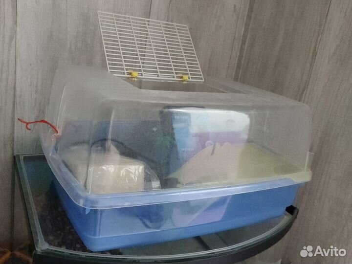 Террариум для красноухой черепахи