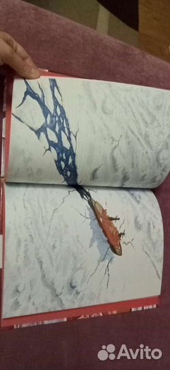 Книга Навстречу белому медведю