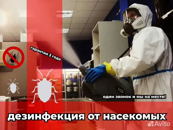 Уничтожение тараканов, клопов, Дезинфекция